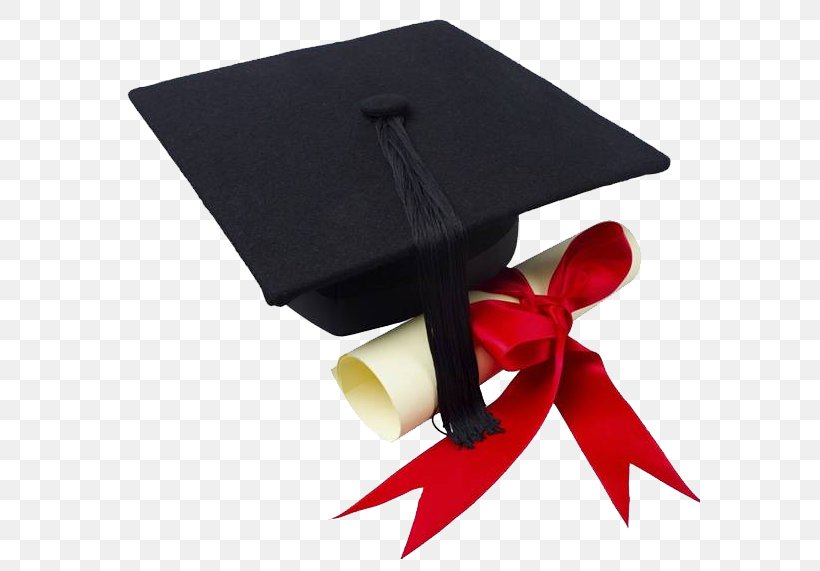 Academic Degree Masters Degree Graduation Ceremony Bachelors Degree