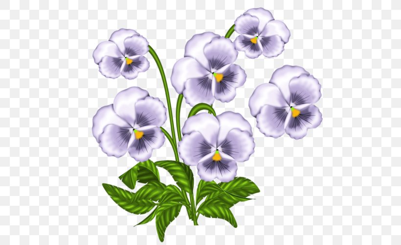 African Violets Pansy Clip Art, PNG, 500x500px, African Violets, Flower, Flowering Plant, Flowerpot, Lilac Download Free