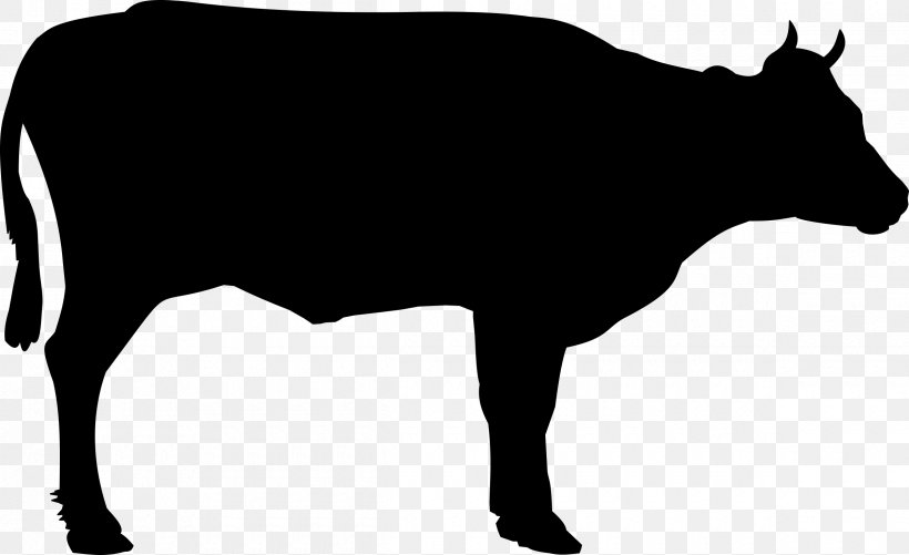 Beef Cattle Welsh Black Cattle Clip Art, PNG, 2400x1468px, Beef Cattle, Black, Black And White, Bull, Cattle Download Free
