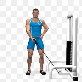 Totem - Deltoid Muscle Dumbbell Exercise Alzata Laterale Fly PNG