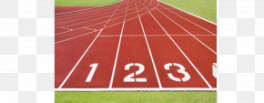 Track Field - Ð›ÐµÐ³ÐºÐ¾Ð°Ñ‚Ð»ÐµÑ‚Ð¸Ñ‡ÐµÑÐºÐ¸Ð¹ ÑÑ‚Ð°Ð´Ð¸Ð¾Ð½ Track & Field All-weather Running Track Stadium Sport PNG