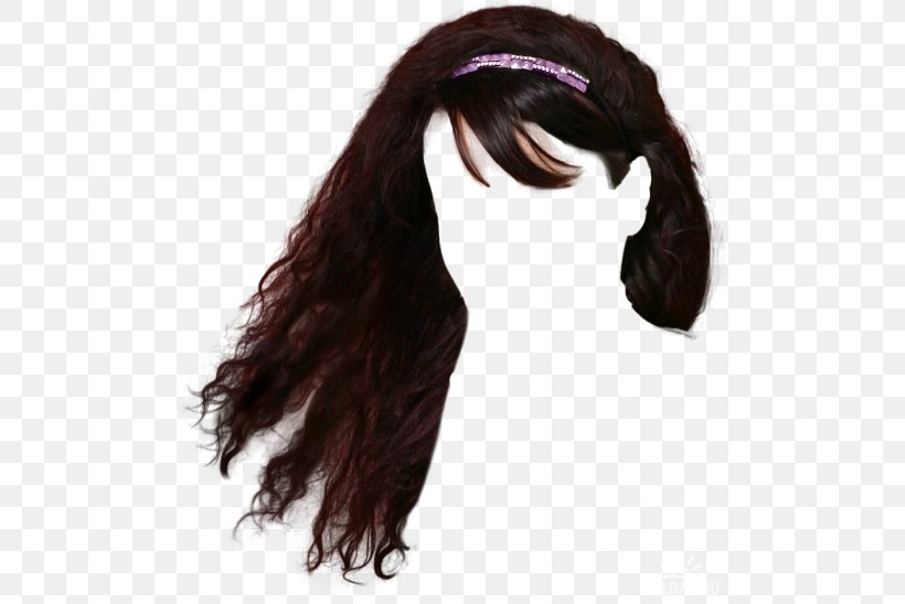 Wig Hairstyle Black Hair, PNG, 500x548px, Wig, Bangs, Black Hair, Brown Hair, Hair Download Free