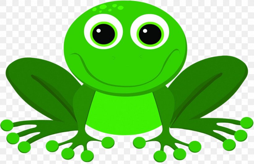 BabyFirst YouTube Tree Frog Television, PNG, 1600x1038px, Babyfirst, Amphibian, Child, Frog, Google Download Free