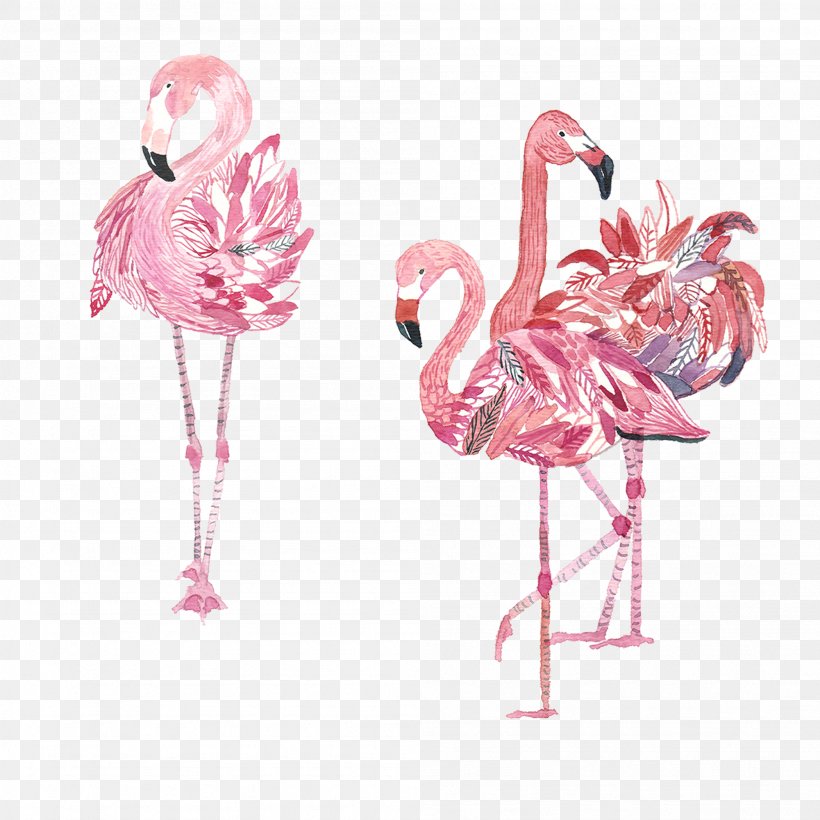 Bird Flamingos Amazon.com Crane, PNG, 2001x2001px, Flamingo, Bird, Canvas, Flamingos, Greater Flamingo Download Free