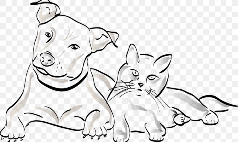 Cat Pet Border Collie Puppy Dog Walking, PNG, 1000x600px, Cat, Animal, Animal Figure, Artwork, Big Cats Download Free