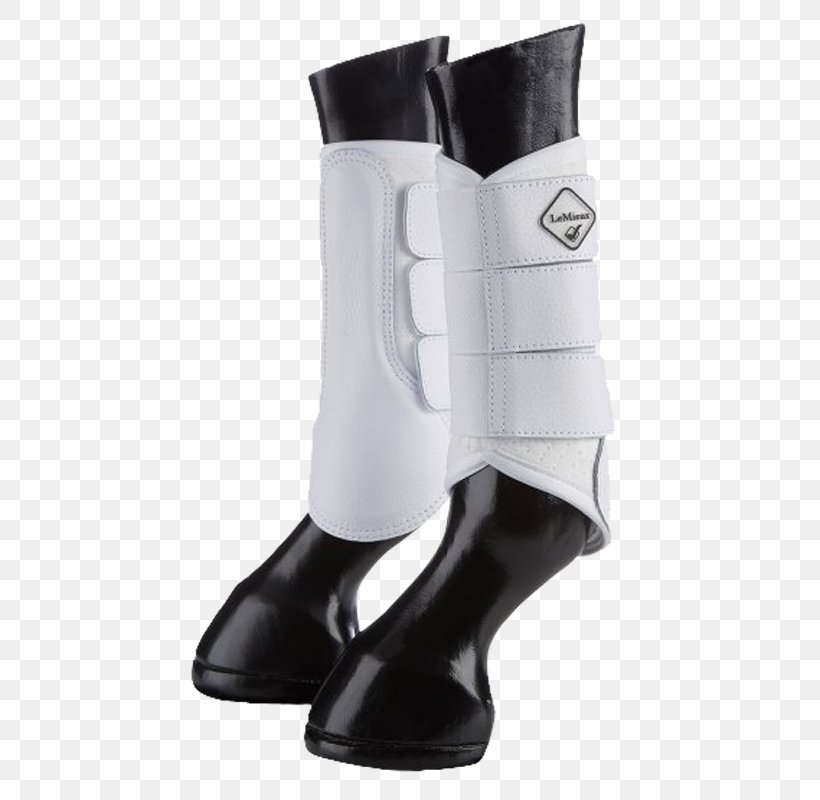 Horse Splint Boots Equestrian Mesh, PNG, 800x800px, Horse, Bonnet, Boot, Clothing, Dressage Download Free