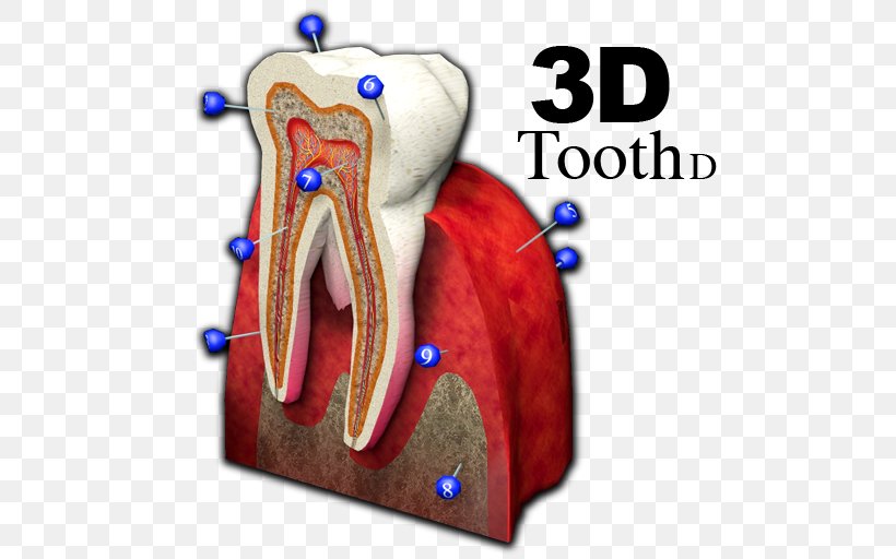 Jaw Joint Shoulder Tooth, PNG, 512x512px, Watercolor, Cartoon, Flower, Frame, Heart Download Free