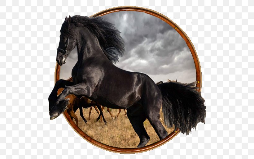 Mustang Stallion Horse Harnesses Bridle Pony, PNG, 512x512px, Mustang, Animal, Bit, Bridle, Halter Download Free