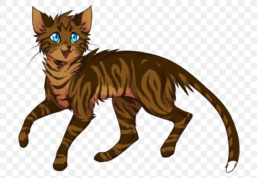 Tabby Cat Whiskers Kitten Wildcat Havana Brown, PNG, 749x567px, Tabby Cat, Big Cats, Carnivoran, Cat, Cat Like Mammal Download Free