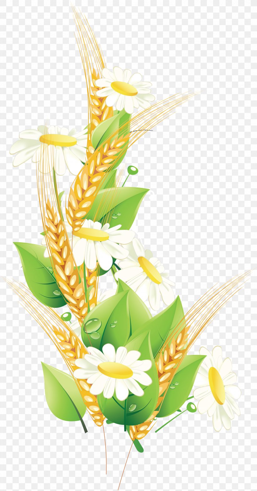 Wheat, PNG, 2968x5668px, Flower, Art, Cdr, Commodity, Drawing Download Free