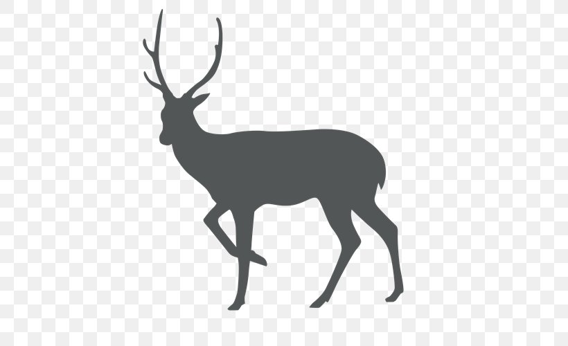 White-tailed Deer Sika Deer Stock Photography, PNG, 500x500px, Deer, Antelope, Antler, Black And White, Can Stock Photo Download Free
