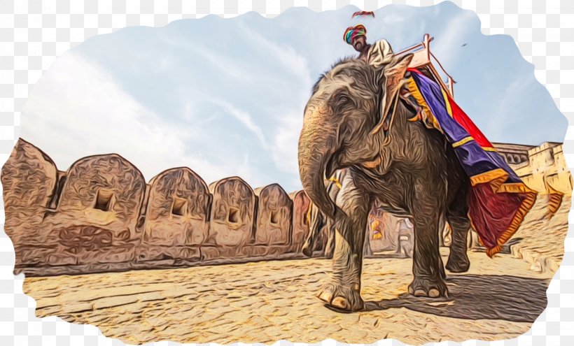 Jodhpur Rambagh Palace, Jaipur New Delhi Delhi, Agra And Jaipur Tour Package, PNG, 1517x917px, Jodhpur, Art, Camel, Camelid, Delhi Download Free