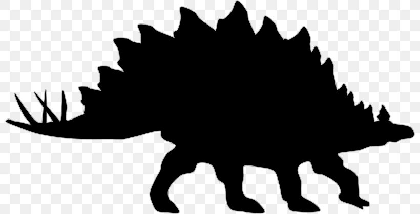 Stegosaurus Dinosaur Shadow Clip Art, PNG, 800x419px, Stegosaurus, Black And White, Dinosaur, Gallimimus, Leaf Download Free