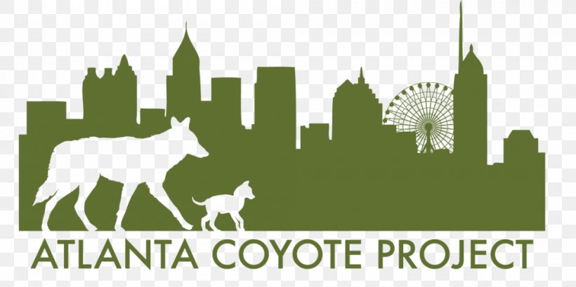 Emerald Corridor Foundation Coyote Animal Wildlife American Pit Bull Terrier, PNG, 1000x499px, Coyote, American Pit Bull Terrier, Animal, Atlanta, Brand Download Free