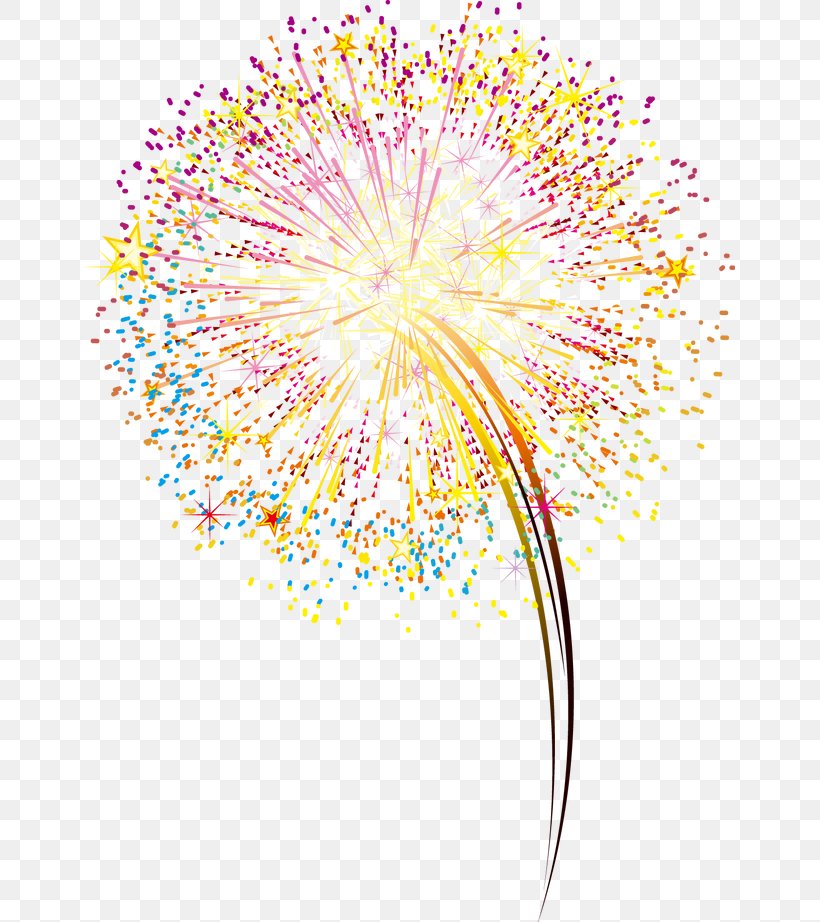 Fireworks Artificier, PNG, 650x922px, Fireworks, Artificier, Flower, Flowering Plant, Fond Blanc Download Free