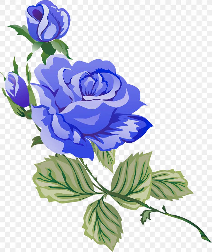 Garden Roses Flower, PNG, 1007x1200px, Garden Roses, Art, Artwork, Blue, Blue Rose Download Free