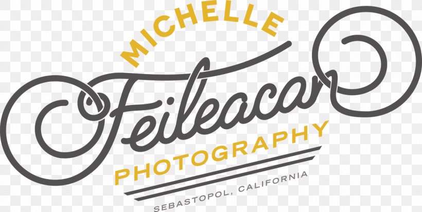 Michelle Feileacan Photography Portrait Photography Photographer, PNG, 1200x604px, Portrait Photography, Area, Art Museum, Black And White, Brand Download Free