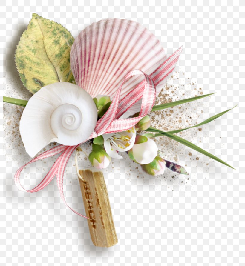 Mollusc Shell Color, PNG, 800x891px, Mollusc Shell, Artificial Flower, Color, Cut Flowers, Floral Design Download Free