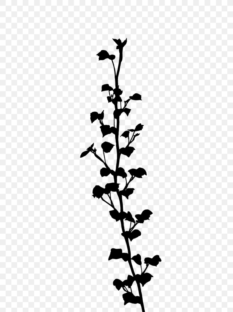 Twig Plant Stem Flowering Plant Leaf, PNG, 730x1095px, Twig, Branch, Flower, Flowering Plant, Leaf Download Free