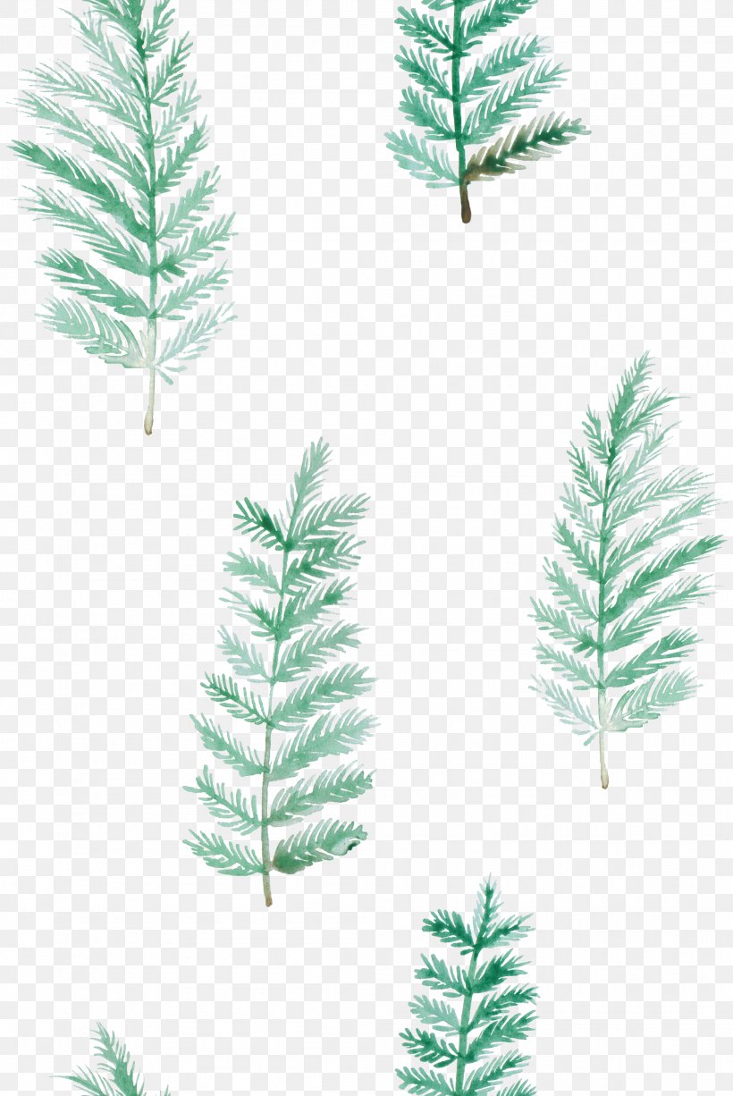 Desktop Wallpaper Succulent Plant Wallpaper, PNG, 2005x3000px, Succulent Plant, Blog, Branch, Christmas Ornament, Conifer Download Free