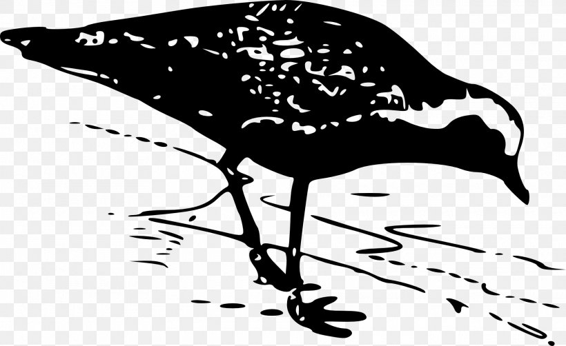 European Golden Plover American Golden Plover Clip Art, PNG, 1920x1176px, Plover, American Golden Plover, Art, Beak, Bird Download Free