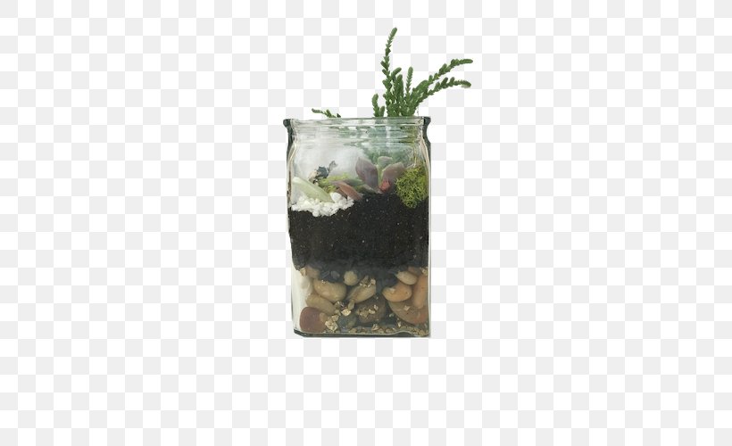 Flowerpot Vase Herb, PNG, 500x500px, Flowerpot, Herb, Vase Download Free