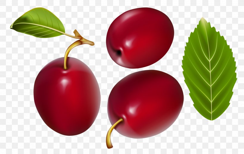 Gooseberry Cranberry Jujube Lingonberry, PNG, 2560x1618px, Gooseberry, Accessory Fruit, Acerola, Apple, Auglis Download Free