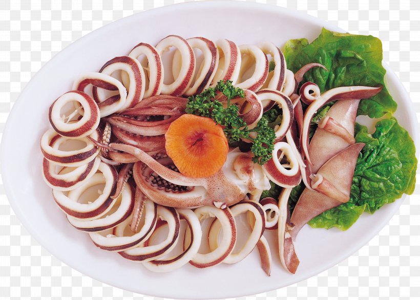 Squid As Food Dish Seafood Dried Shredded Squid, PNG, 3154x2255px, Squid As Food, Asian Cuisine, Asian Food, Cold Cut, Depositfiles Download Free