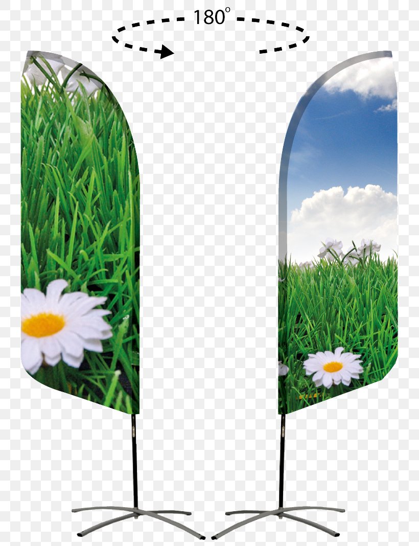 Advertising Product Design Child, PNG, 763x1068px, Advertising, Child, Flower, Grass, Grass Family Download Free