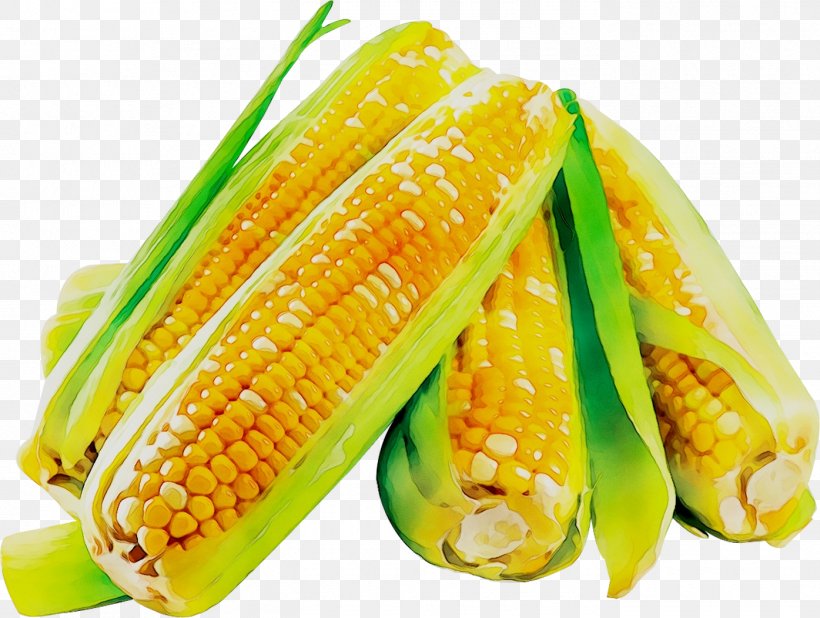 Corn On The Cob News Trade Economy, PNG, 1395x1053px, Corn On The Cob, Chicken, Commodity, Corn, Corn Kernels Download Free