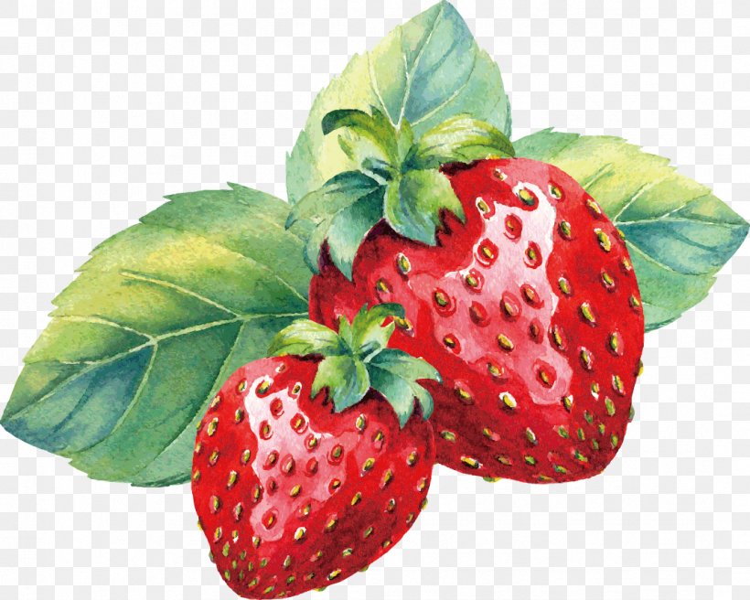 Strawberry Aedmaasikas Amorodo Watercolor Painting, PNG, 1073x859px, Strawberry, Aedmaasikas, Amorodo, Auglis, Food Download Free