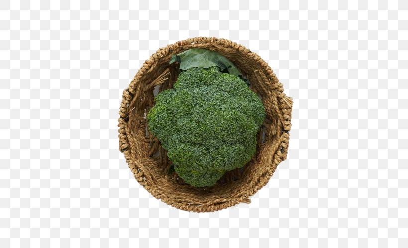 Superfood Broccoli Vegetable, PNG, 500x500px, Superfood, Broccoli, Grass, Vegetable Download Free