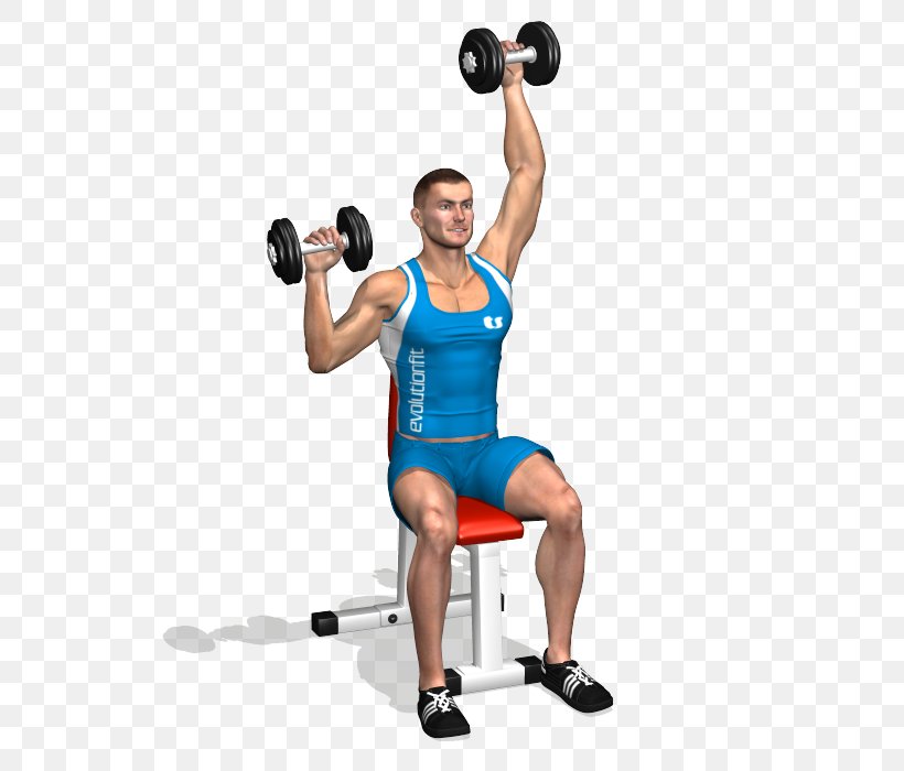 Weight Training Shoulder Dumbbell Deltoid Muscle Front Raise, PNG, 700x700px, Watercolor, Cartoon, Flower, Frame, Heart Download Free