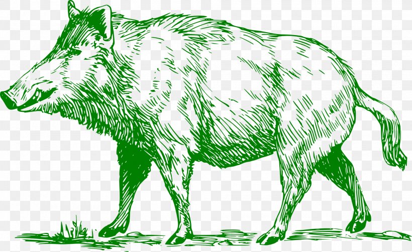 Wild Boar Common Warthog Peccary Boar Hunting Clip Art, PNG, 1920x1176px, Wild Boar, Animal Figure, Artwork, Black And White, Boar Hunting Download Free