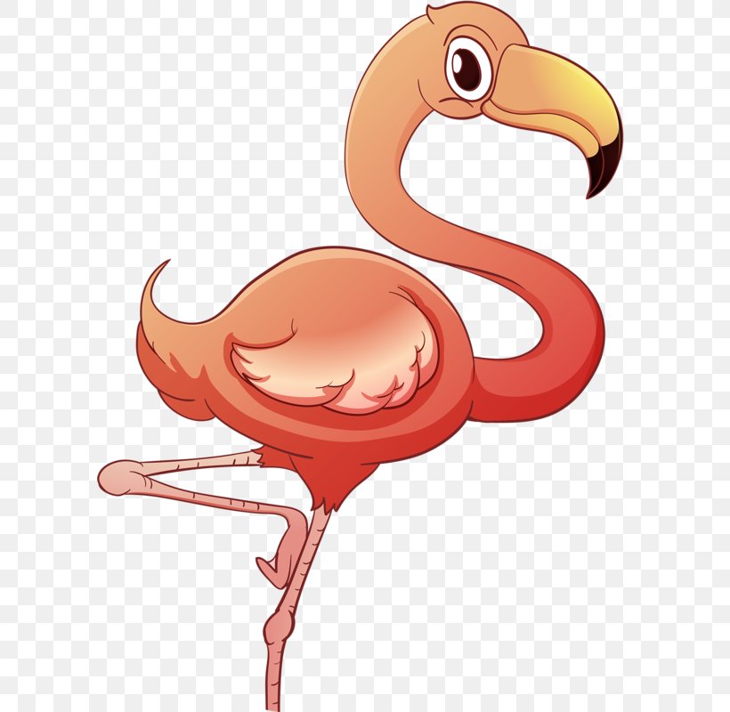 Common Ostrich Bird Clip Art, PNG, 602x800px, Watercolor, Cartoon, Flower, Frame, Heart Download Free