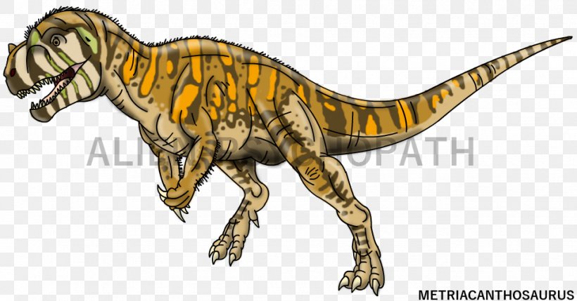 Metriacanthosaurus Velociraptor Spinosaurus Suchomimus Brachiosaurus, PNG, 972x509px, Metriacanthosaurus, Allosaurus, Animal Figure, Baryonyx, Brachiosaurus Download Free