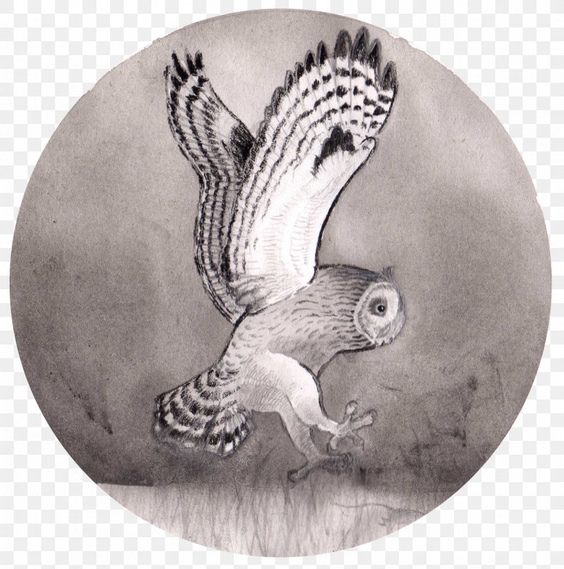 Owl Drawing Fauna /m/02csf Beak, PNG, 1587x1600px, Owl, Beak, Bird Of Prey, Black And White, Drawing Download Free