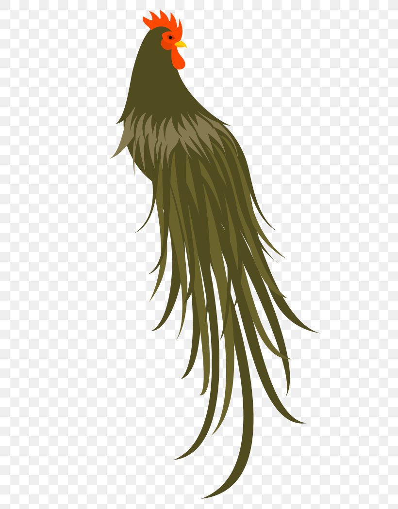 Rooster Bird Of Prey Beak Feather, PNG, 510x1050px, Rooster, Beak, Bird, Bird Of Prey, Chicken Download Free