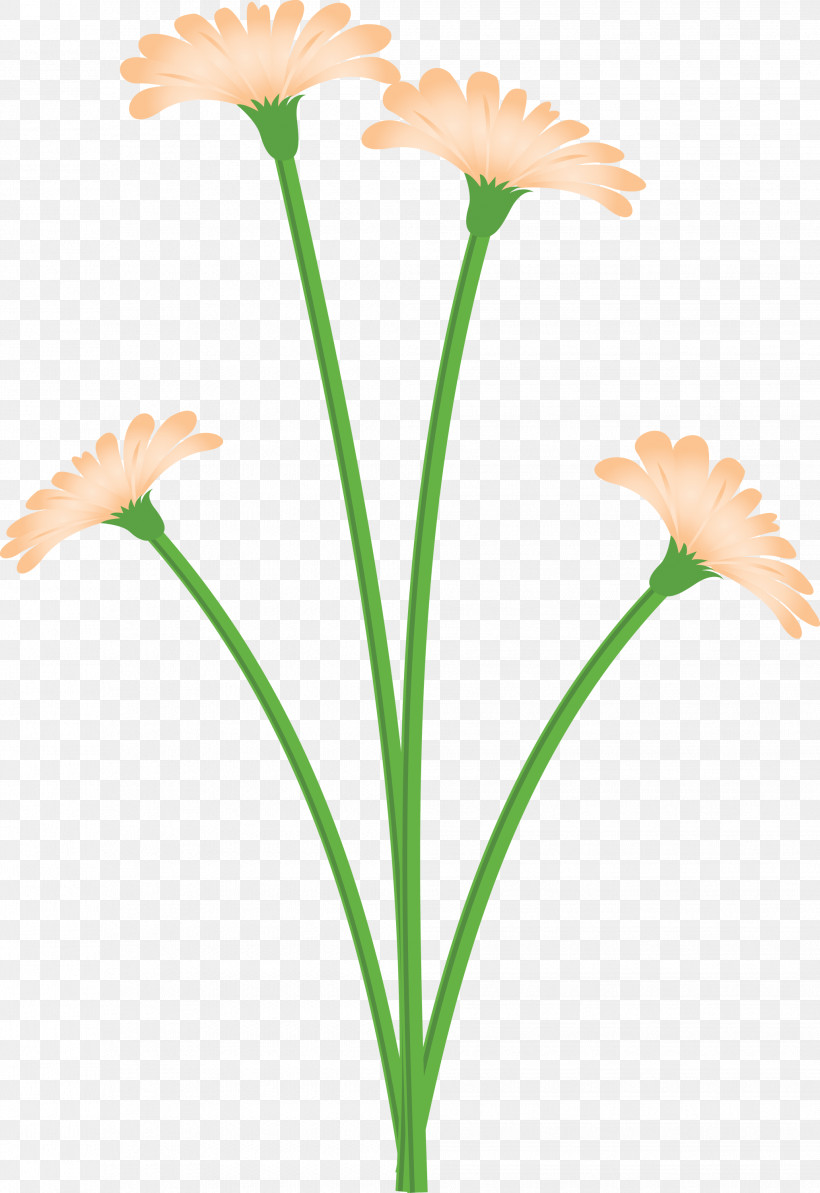 Dandelion Flower, PNG, 2062x3000px, Dandelion Flower, Biology, Cut Flowers, Flower, Petal Download Free