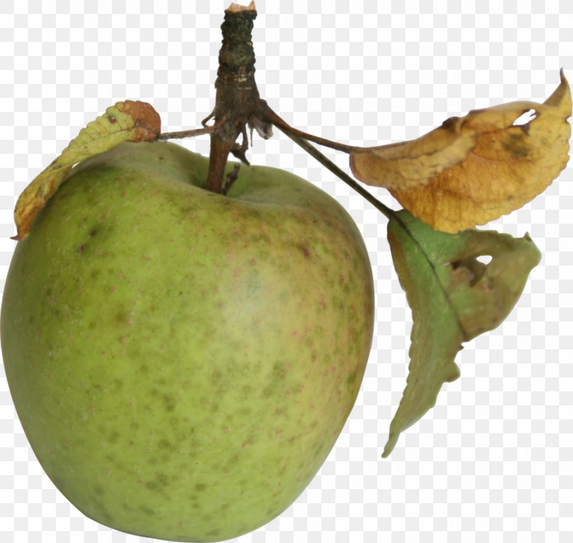 DeviantArt Apple Work Of Art Artist, PNG, 918x870px, Art, Apple, Artist, Deviantart, Food Download Free