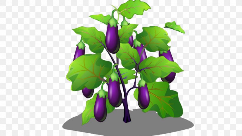 Eggplant Cartoon, PNG, 892x501px, Eggplant, Cartoon, Designer, Drawing, Flowerpot Download Free