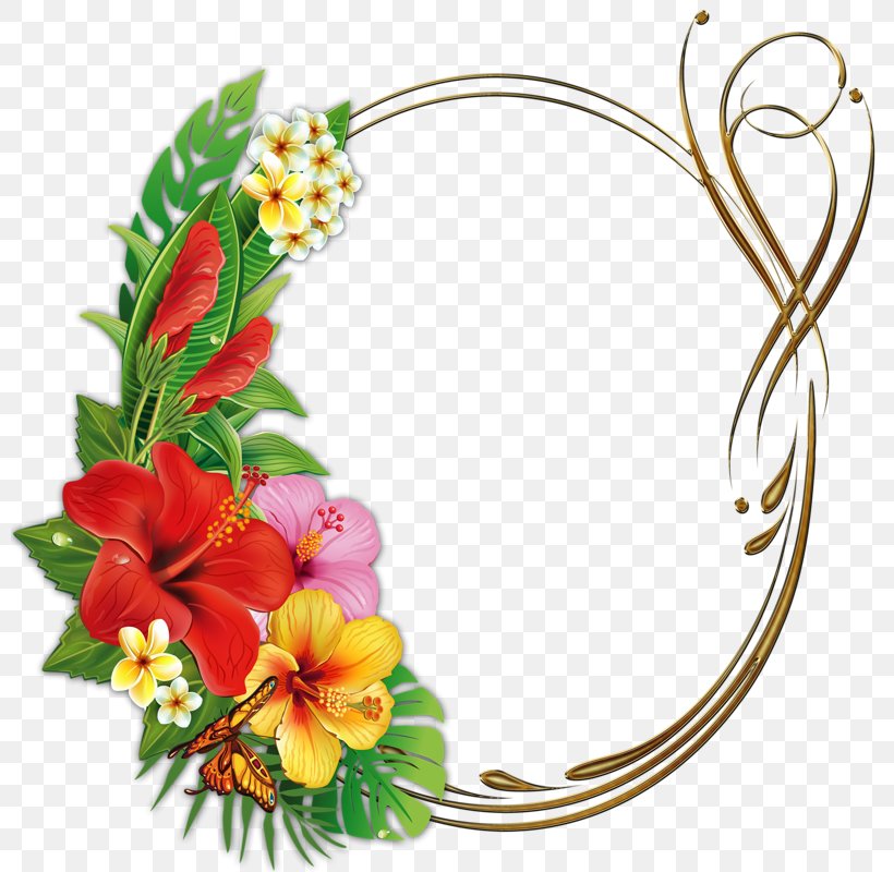 Picture Frames Flower Clip Art, PNG, 800x800px, Picture Frames, Cut Flowers, Decor, Drawing, Floral Design Download Free