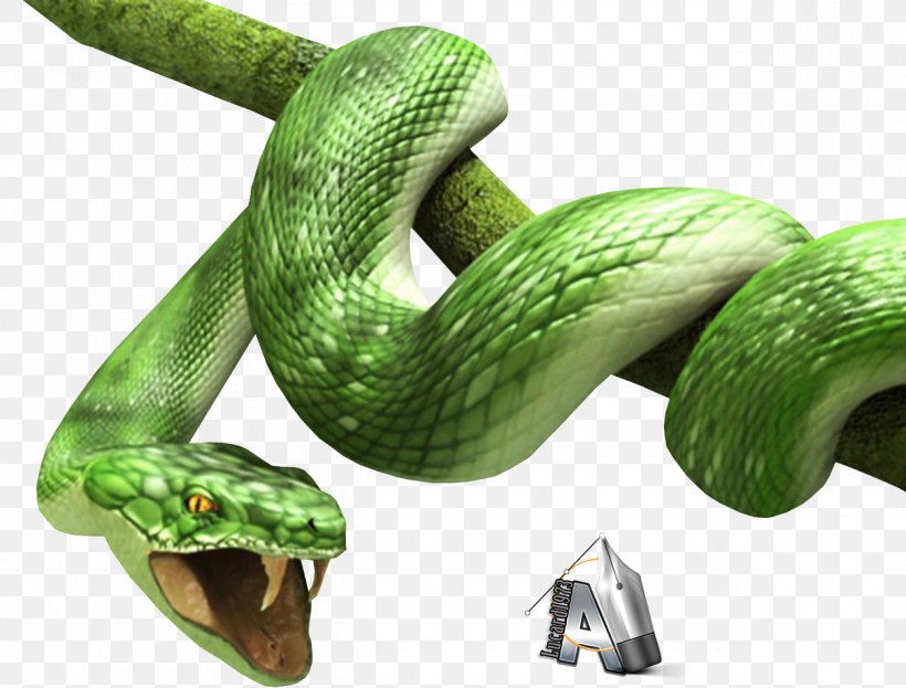Snake Clip Art, PNG, 1250x950px, Snake, Boa Constrictor, Boas, Colubridae, Elapidae Download Free