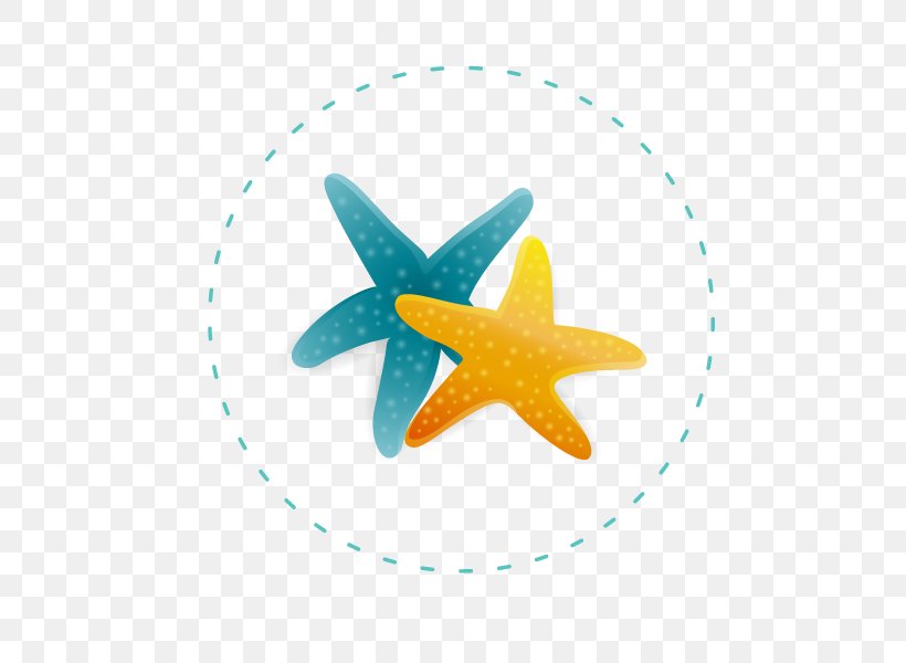 Starfish Euclidean Vector, PNG, 600x600px, Starfish, Echinoderm, Element, Euclidean Distance, Invertebrate Download Free