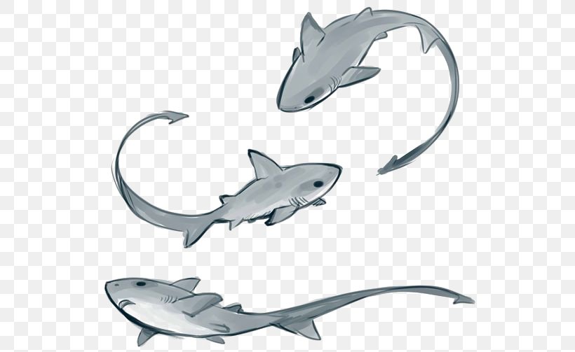 Thresher Shark Drawing Tiger Shark Remora, PNG, 564x503px, Shark, Animal, Art, Cartilaginous Fish, Character Design Download Free