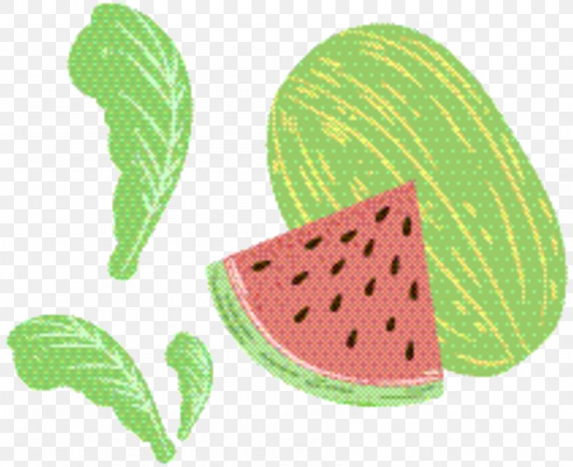 Watermelon Background, PNG, 845x690px, Watermelon, Citrullus, Cucumber Gourd And Melon Family, Fruit, Leaf Download Free