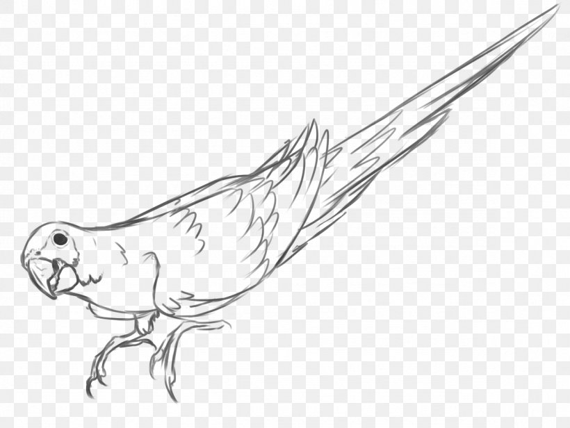 Beak Feather Marine Mammal Line Art Sketch, PNG, 1177x885px, Beak, Arm, Artwork, Bird, Black And White Download Free