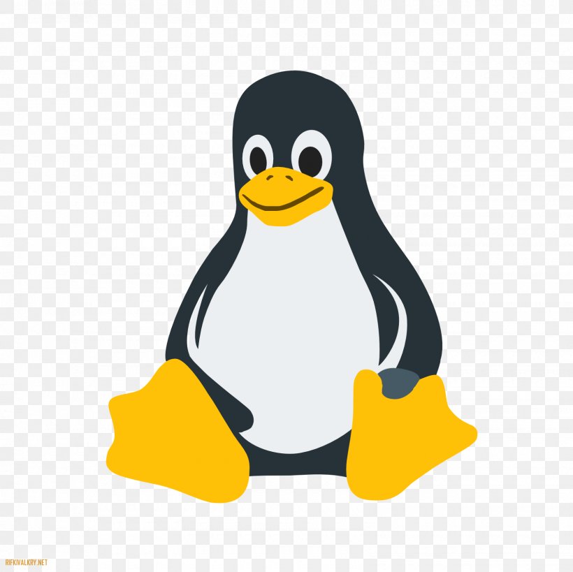 Linux Distribution Operating Systems Ubuntu, PNG, 1600x1600px, Linux, Beak, Bird, Computer Software, Ducks Geese And Swans Download Free