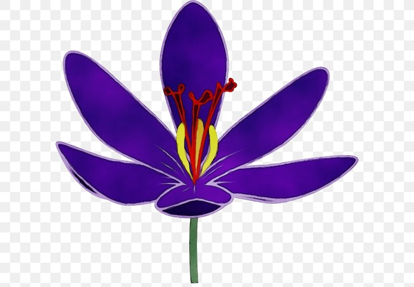 Purple Flower Petal Violet Plant, PNG, 600x568px, Watercolor, Crocus, Flower, Iris, Iris Family Download Free