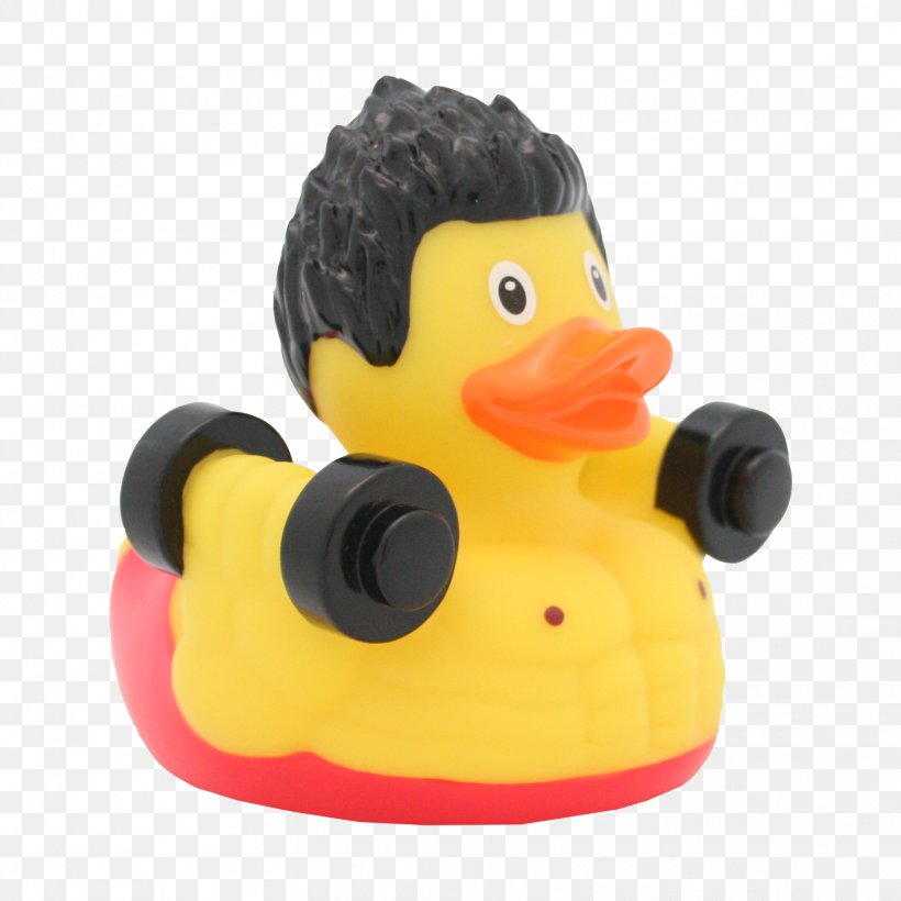 Rubber Duck Sport Toy, PNG, 1562x1563px, Duck, Beak, Bird, Collecting, Ducks Geese And Swans Download Free